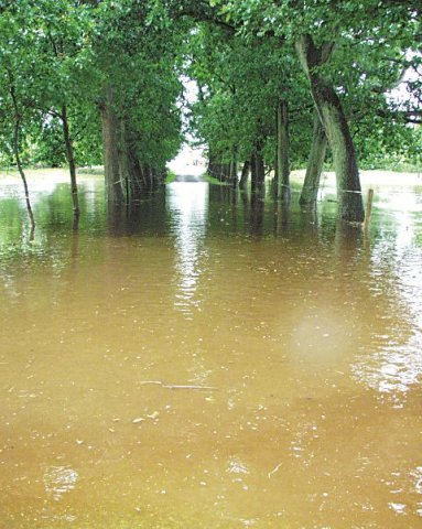 Hochwasser 2001